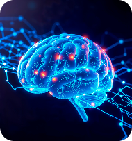 brain
